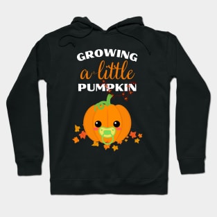 Growing a Little Pumpkin Hoodie